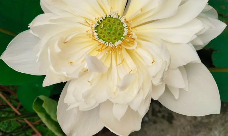 Cada vez que mi yerno cruza la puerta, yo desaparezco: el relato de una abuela española