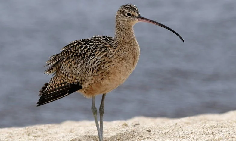 Cuando el amor se esfuma: el día que mi vida se rompió