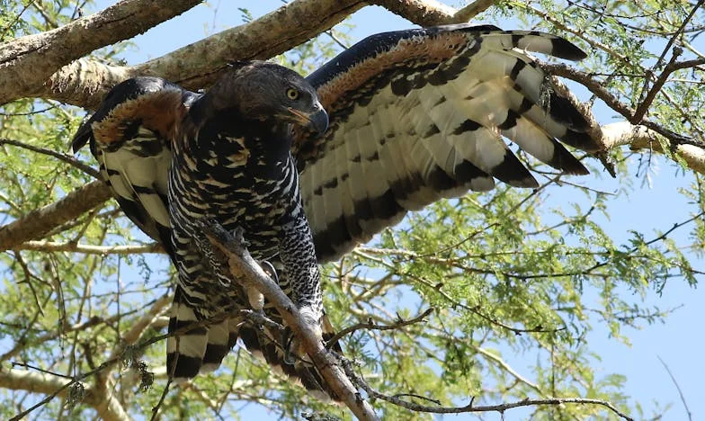 Cuando el amor se rompe en el altar: La boda de Lucía y Sergio