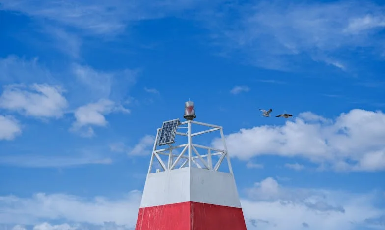 De la Calle a la Esperanza: La Historia de Pablo, el Hijo Olvidado