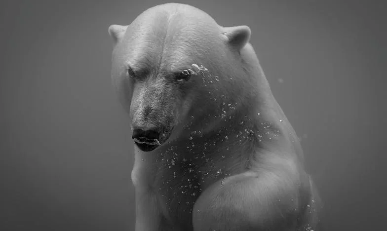 Desmayé en la comida familiar porque mi marido no me ayudaba con nuestro bebé: ¿Es este el final de nuestra familia?