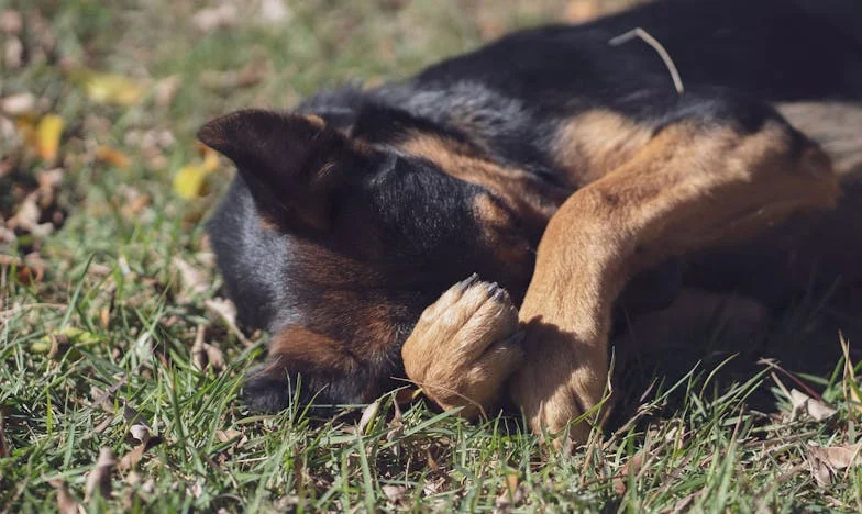 Doce años después: Cuando el pasado llama a tu puerta