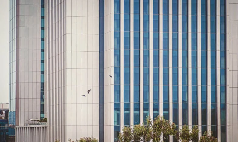 El día que escapé del altar: una boda, un secreto y un destino inesperado