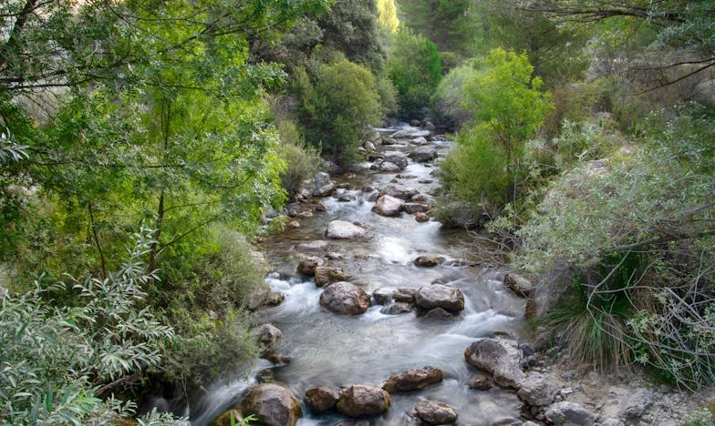El día que mi hijo me abrió los ojos: Una reconciliación inesperada