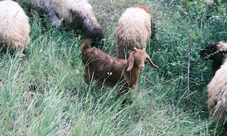 El grito que rompió el silencio: El día que mi parto cambió mi vida y mi matrimonio