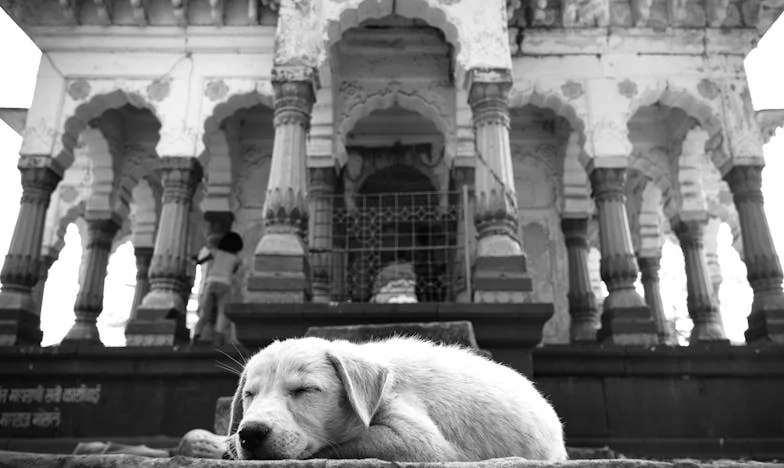 El Invitado Indeseado en la Mesa: Una Noche que Marcó mi Familia