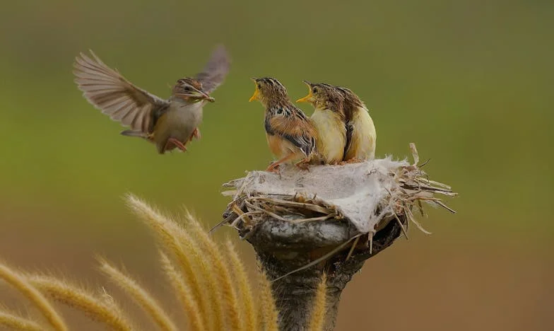 El peso de la herencia: Entre el amor y el miedo a perderlo todo