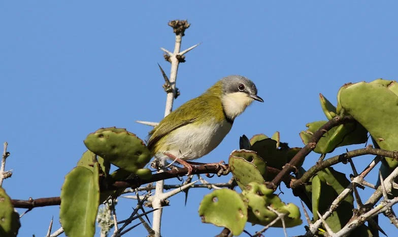 El precio del silencio: Cuando la familia se rompe por avaricia