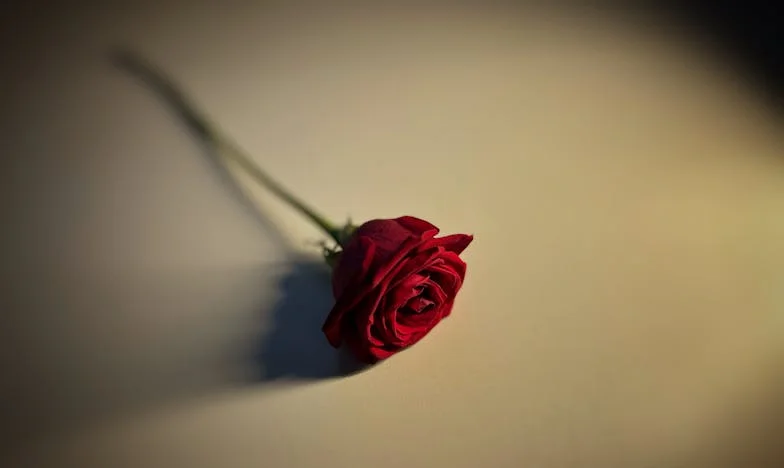 El secreto de los García: La verdad bajo la piel