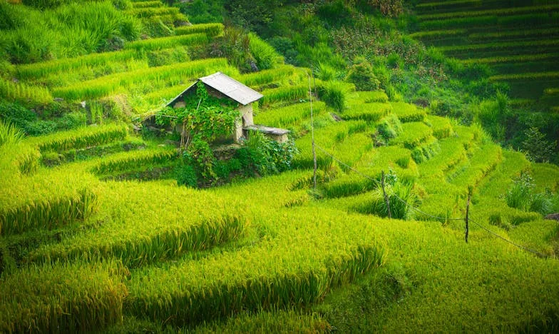 El testamento de la abuela Carmen: una herencia que divide corazones