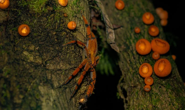 En el eco de tu ausencia: Cuando una madre pierde a su hijo sin despedida