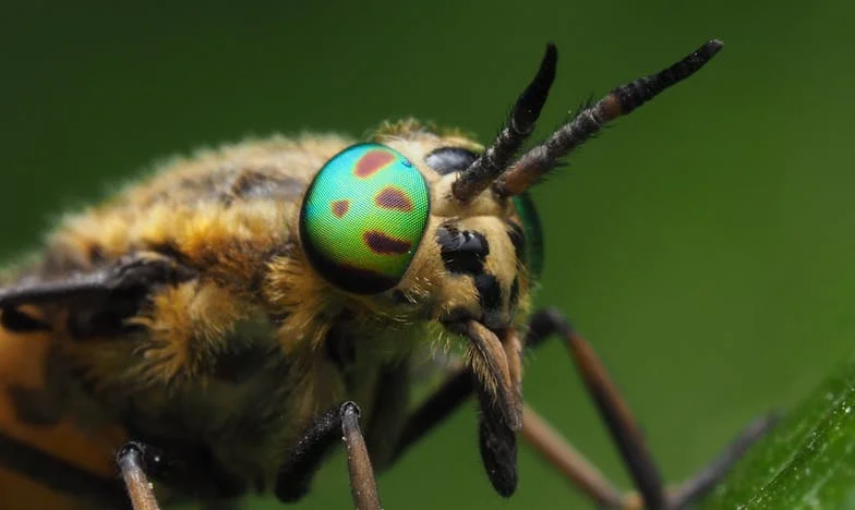 Entre dos mundos: el precio de ser la hija invisible