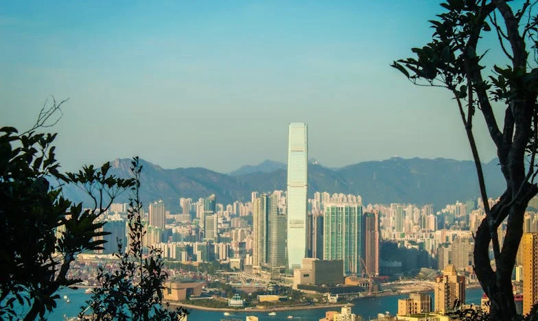 Entre el amor y el interés: Confesiones de una nuera en Madrid