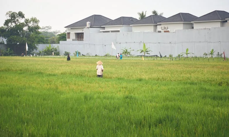 Entre la culpa y el deseo: Mi vida bajo la sombra de mi hermano