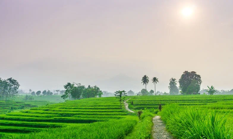 Entre la fe y el silencio: Mi lucha por salvar mi matrimonio