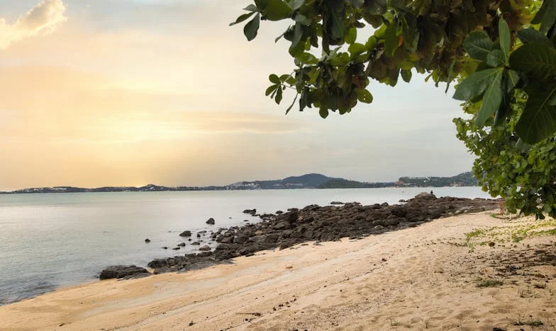 Entre pañales y reproches: El precio de la familia