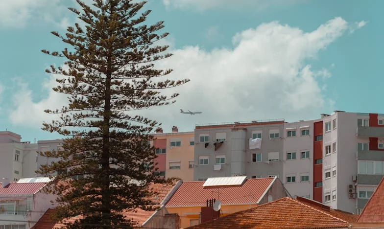 Hoy me convierto en abuela: Entre el amor y los límites de una madre