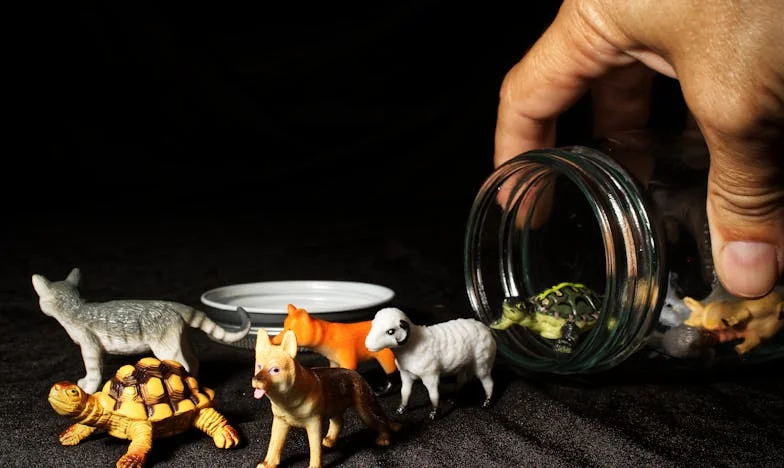 La Casa de los Espejismos: Un Relato de Sueños Rotos en Pozuelo