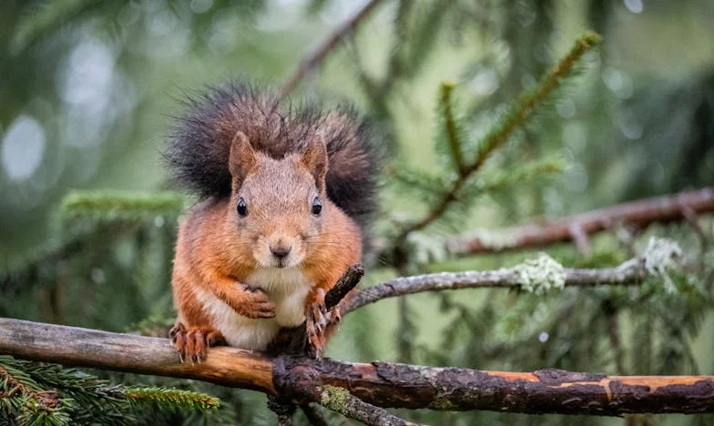 La cena que lo cambió todo: secretos y heridas en la familia de Carmen