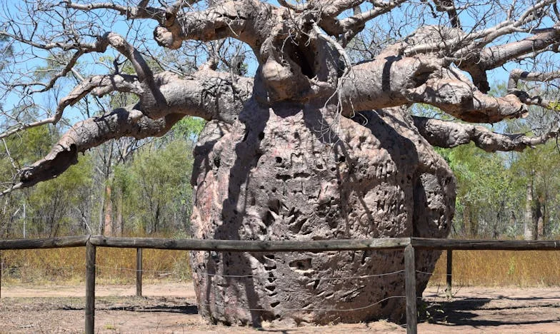 La cuna de la discordia: Cuando la familia exige más de lo que puedes dar