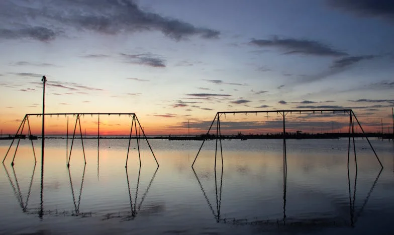 La llamada que nunca quise hacer: Cuando nadie quiere recoger a tu hermano