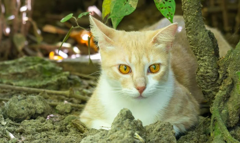 Me duele tanto: mis padres solo me usaron