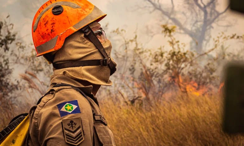 Mentiras en la sierra de Guadarrama: Un relato de traición, coraje y renacimiento