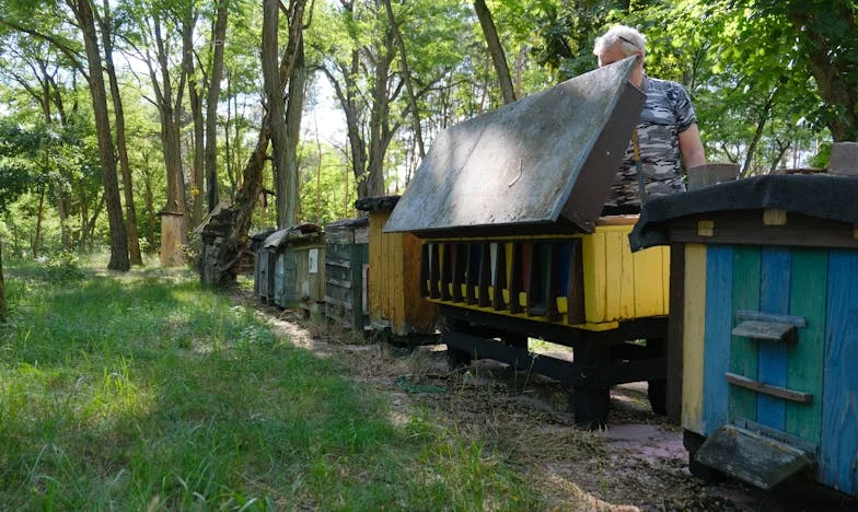 No soy la cuidadora: una historia sobre límites, familia y la vida propia