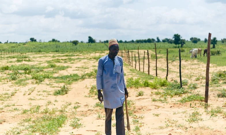 "No soy tu criada, Carmen" – Mi lucha por el respeto en la casa de mi marido