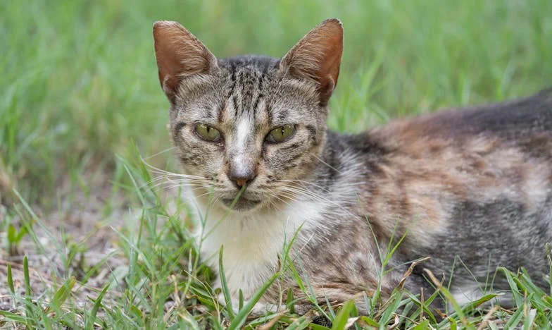 No soy tu niñera: El día que le dije a mi hija que tenía mi propia vida