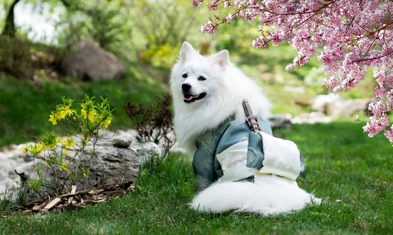 Ojos de un Hermano Perdido: Una historia de amistad, violencia y renacimiento en Madrid