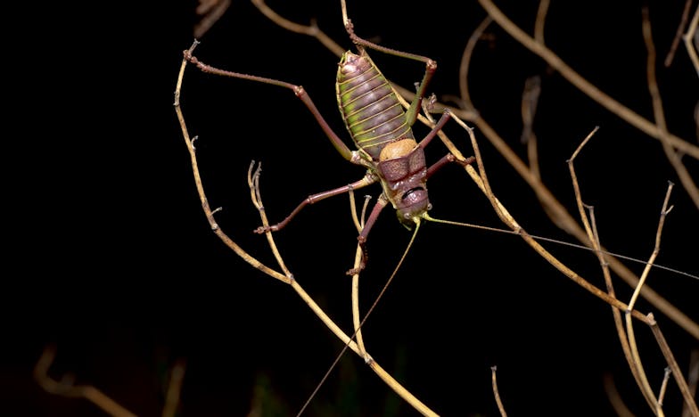Oración bajo la ventana del hospital: Cuando creí perderlo todo
