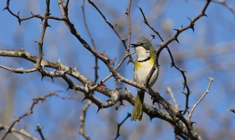 ¿Por qué necesitas otro piso, si ya tienes cuatro?