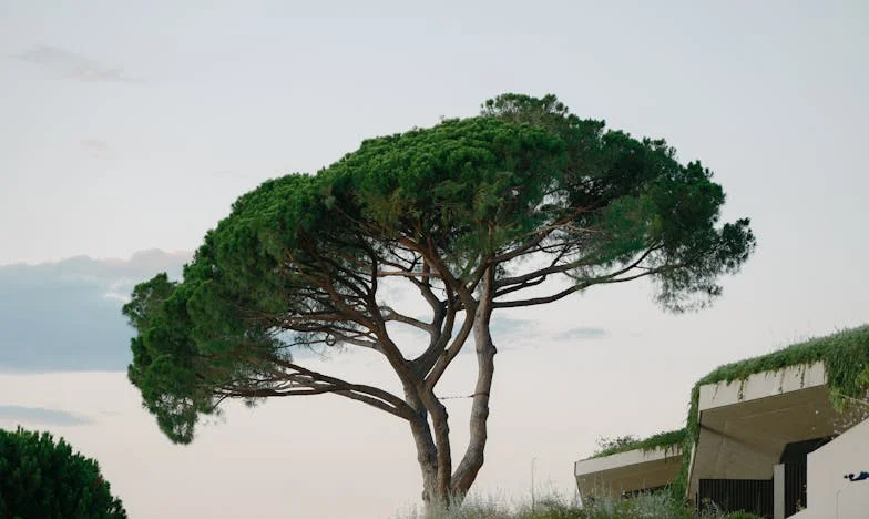 ¿Por qué nunca soy suficiente para ti, Alejandro?