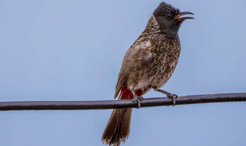 Por supuesto que ayudaremos: Cuando nació el bebé, los abuelos desaparecieron