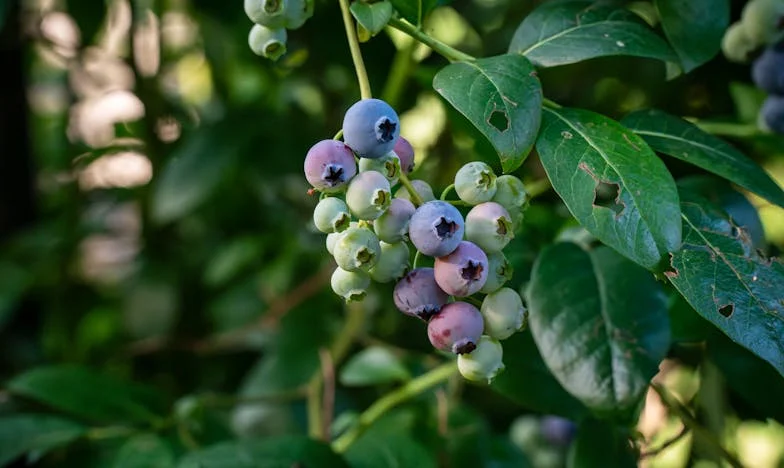 ¿Puede un milagro durar para siempre? La noche en que mi hijo me devolvió la esperanza