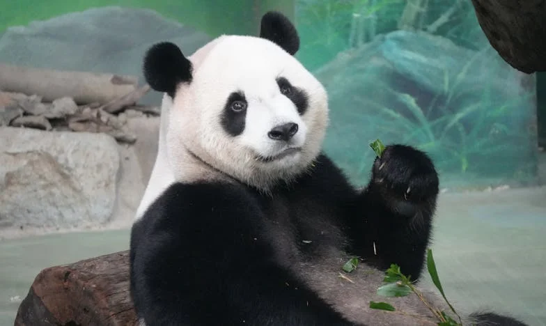 ¿Quién soy yo cuando todo lo que sé desaparece?