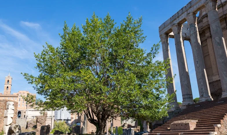 "Quiero divorciarme": El instante que destrozó mi vida