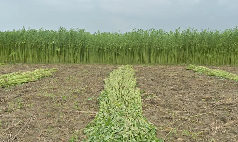 Sin cuna, sin cambiador, ni un solo biberón: El regreso de una madre al caos