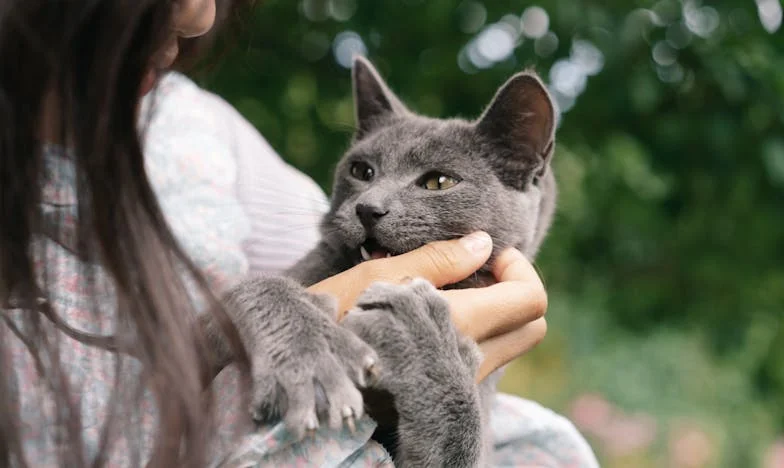 Un solo riñón, dos vidas: Amor, pérdida y esperanza al borde del abismo