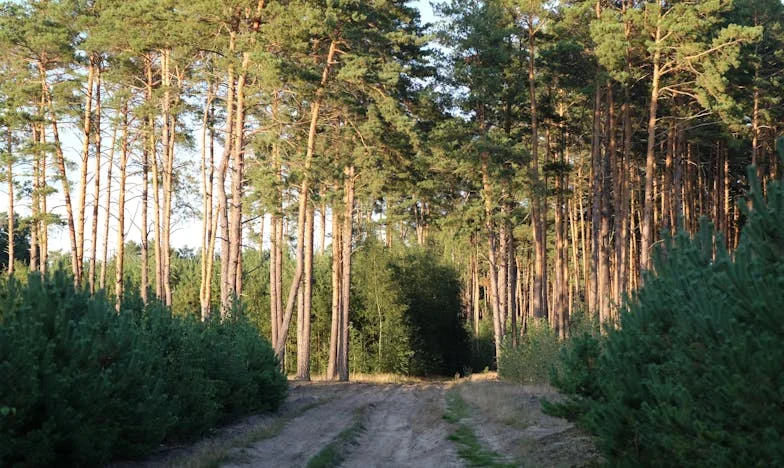 A la sombra de mi suegra: confesiones de una madre sobre el peso de la ayuda