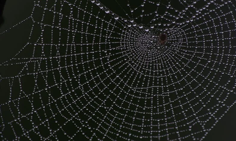 A los 58, el amor vuelve: Entre la desconfianza y la esperanza