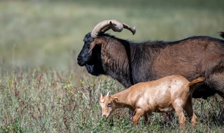 Amar a Contracorriente: Mi Vida Junto a Fernando