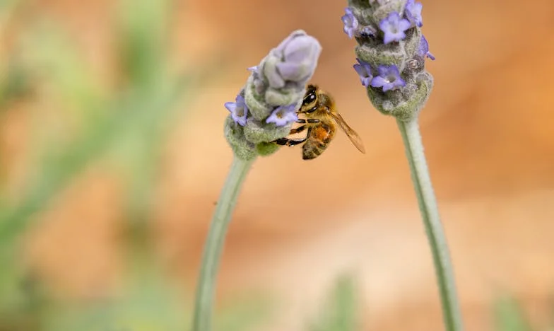 Cerraduras Cambiadas: El Día que Perdí la Llave de Mi Familia