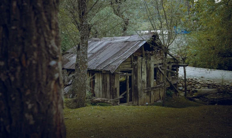 Cinco años de silencio: ¿Qué vale más, la familia o el dinero?