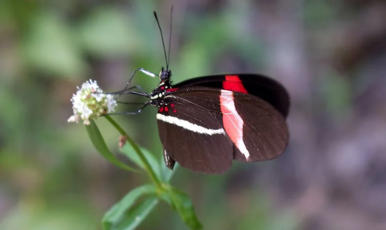 Cuando Aprendí a Decir 'No' a Mi Propia Familia: Un Nuevo Comienzo en Málaga