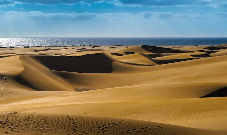 Cuando el dinero separa la sangre: La historia de Lucía y Marta