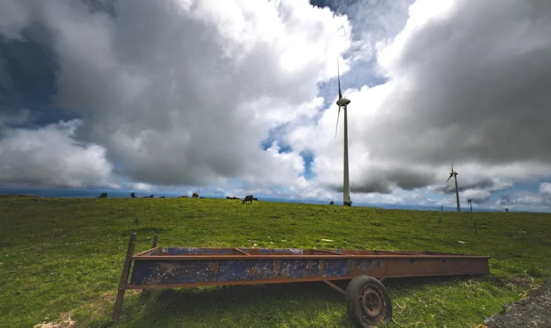 Cuando el hogar se convierte en un lugar ajeno