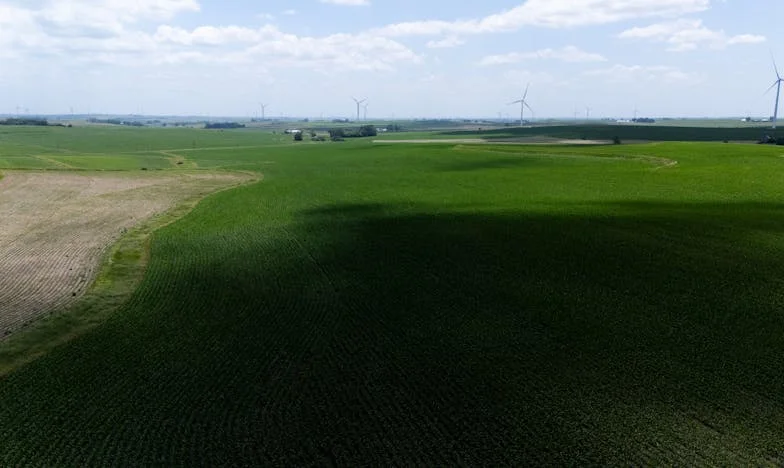 Cuando el orgullo pesa más que la sangre: una historia de independencia y heridas familiares
