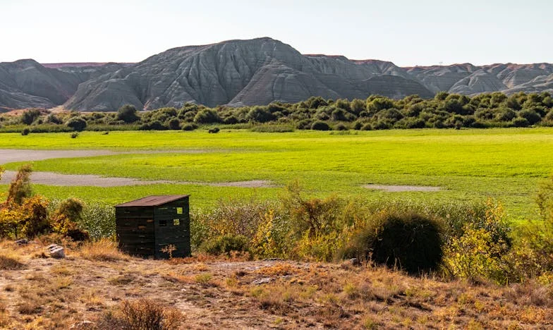 Cuando el silencio duele más que las palabras: La historia de Ana y el eco de una familia rota